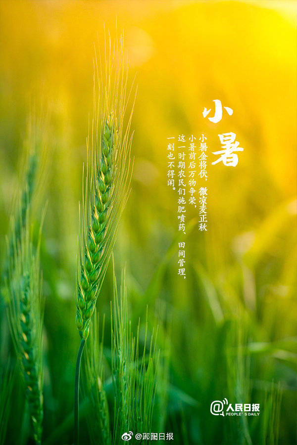小暑来啦|小暑|桑拿天|二十四节气_新浪新闻