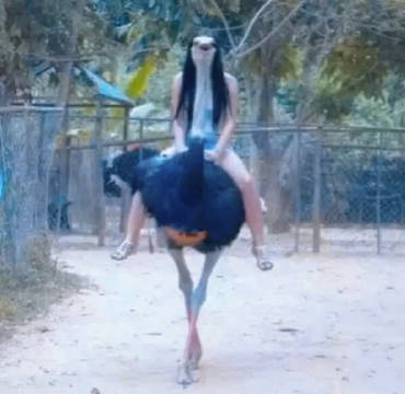 中国人去巴基斯坦旅游 找个当地女孩当老婆好