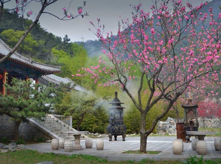 问余何意栖碧山,笑而不答心自闲。桃花流水窅然去,别有天地非人间|碧山|人间|李白_新浪新闻