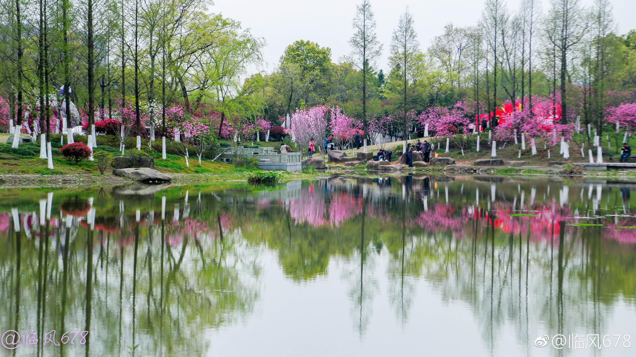 皋亭山千桃园桃花己经大面盛开啦,而且还有美食节