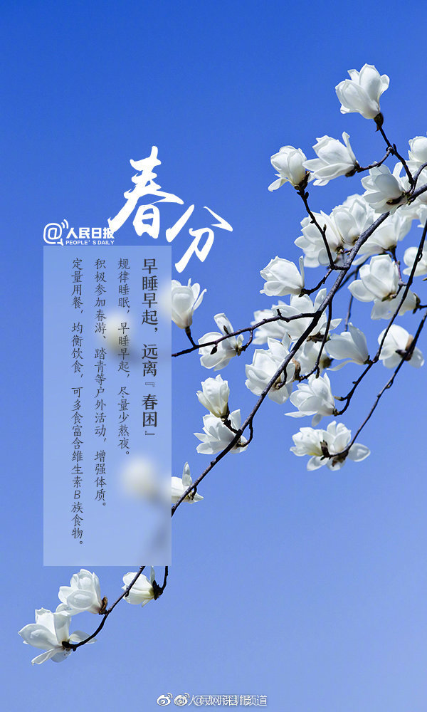 今日春分