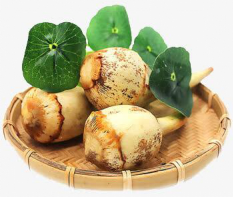 茨菇图片大全!茨菇-兼具营养价值与药用价值的天然蔬菜!