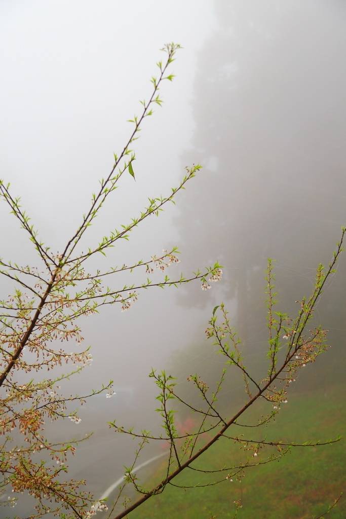 枕上诗书闲处好门前风景雨来佳