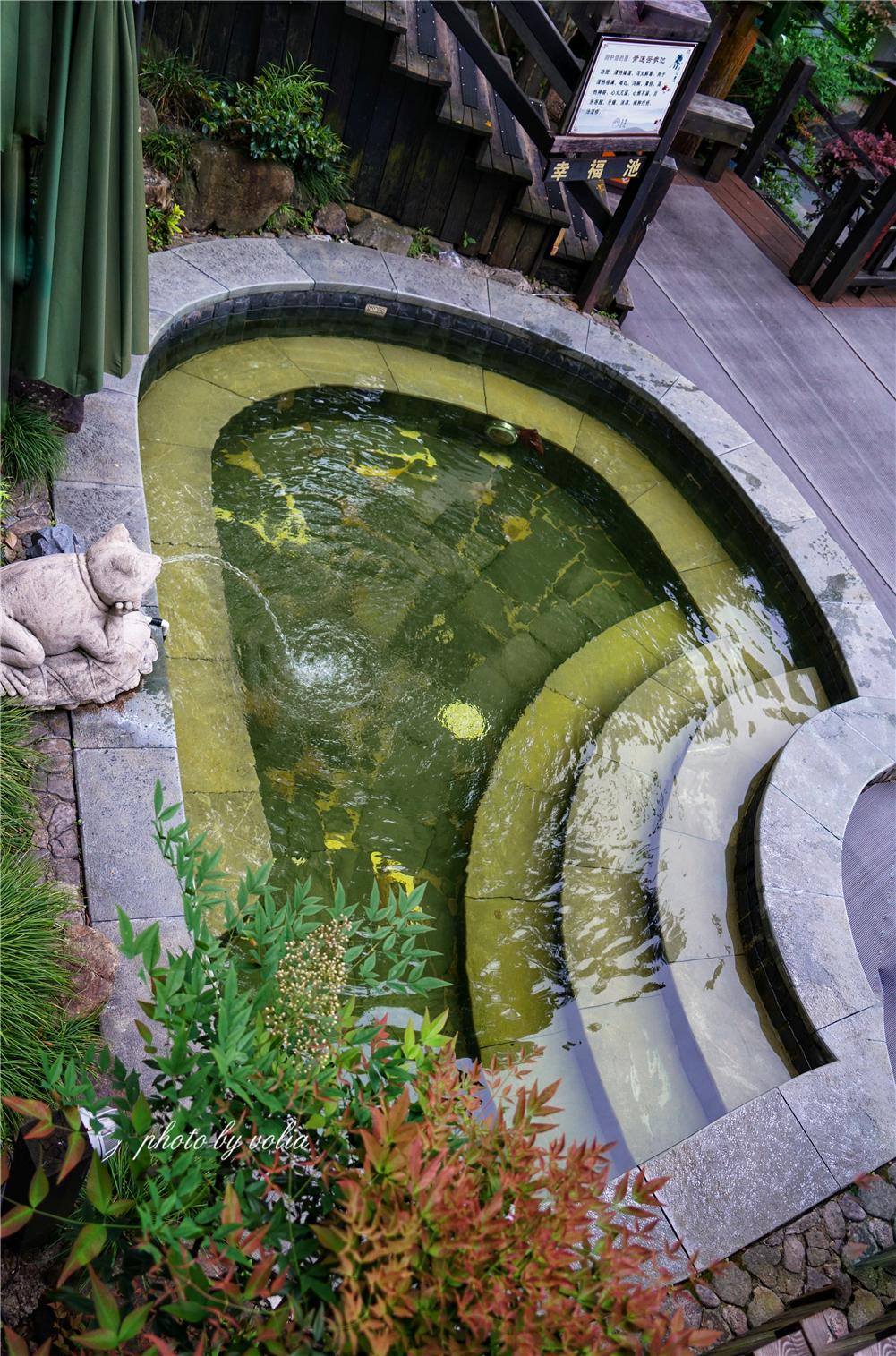 宁海森林温泉也称天明山南溪温泉,泉水取自天明山158米龙脉深处