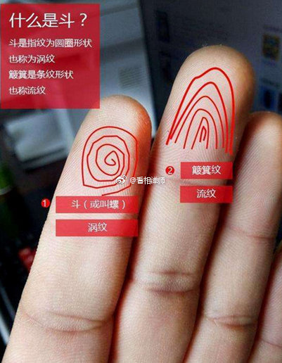 手指十个斗的是有福气的 - 手指螺纹十个簸萁知乎 - 实验室设备网