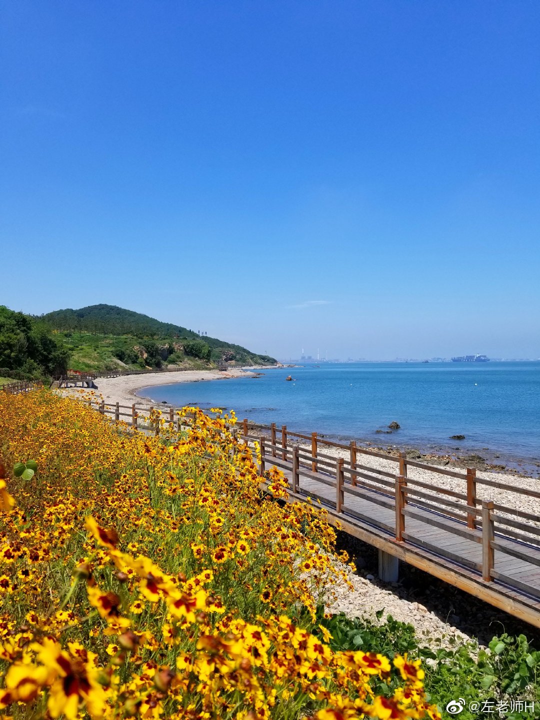 有一种幸福是:我家就在大海边@青岛旅游 @青岛市文化和旅游局