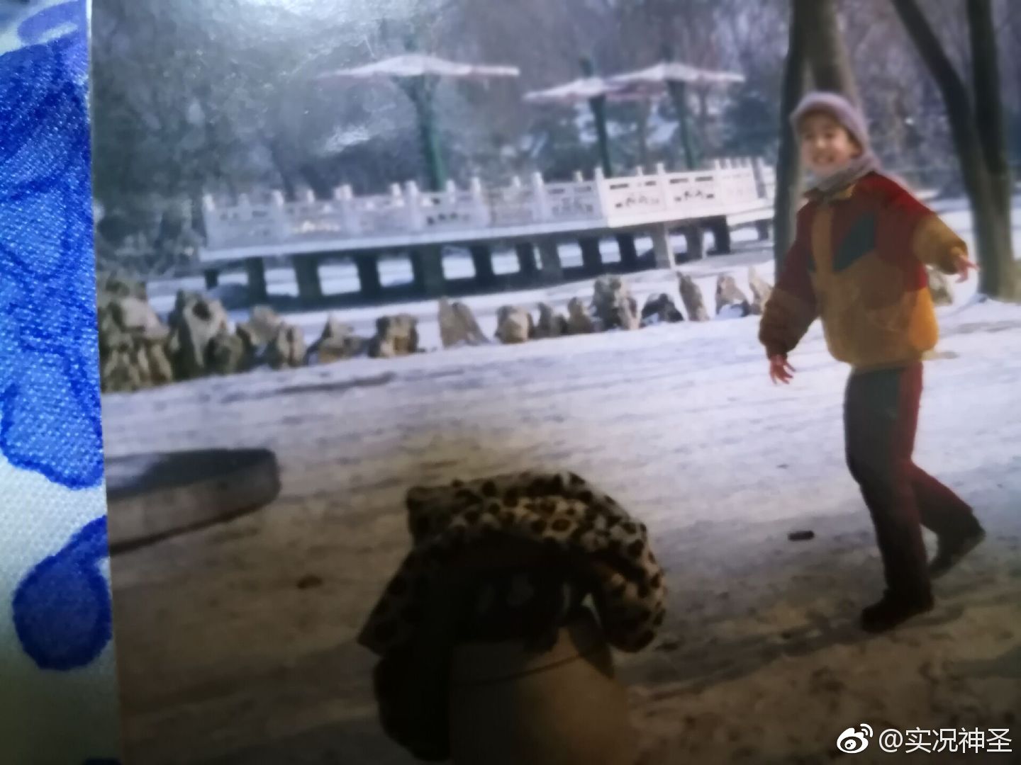 男子粤语感叹“佛山大道”下雪，广东人都懵了。。。_计仔君_荠菜_扇贝