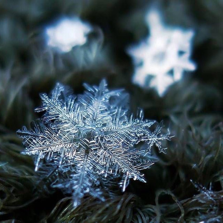 每片雪花都有她的名字