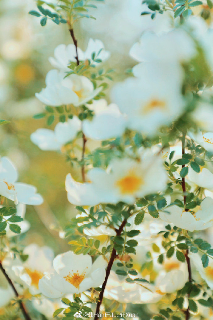 日常生活碎片般的状态最终变得连贯起来.不再飘散在时间和空间里