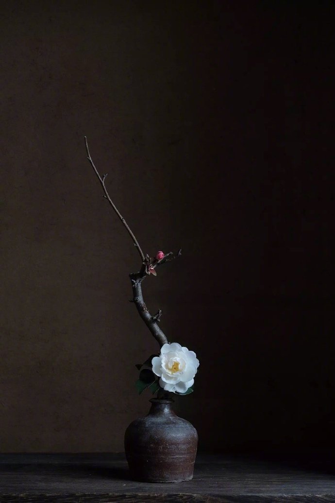 草木禅意 …_高清图集_新浪网