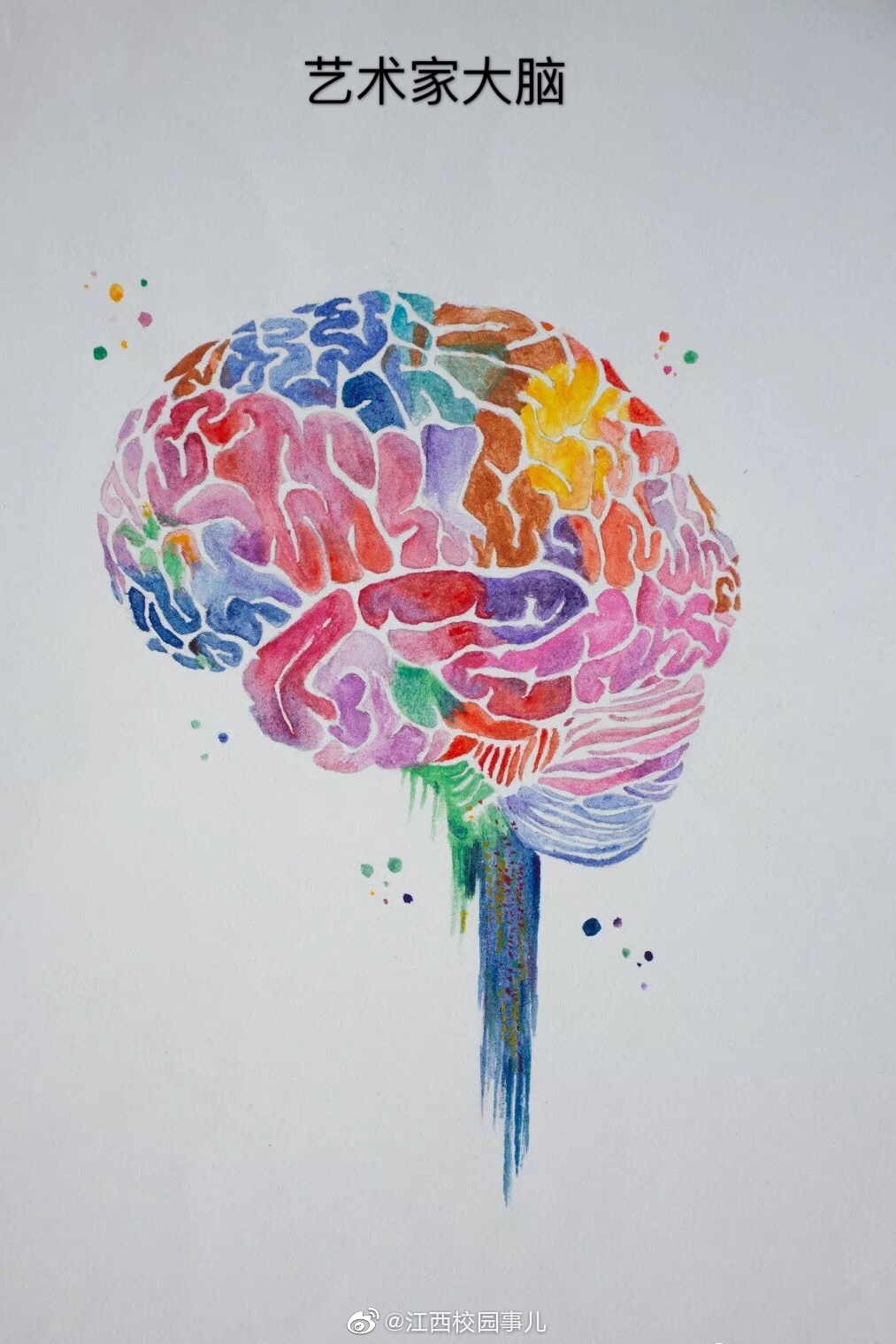 高校学生手绘解剖图走红网友