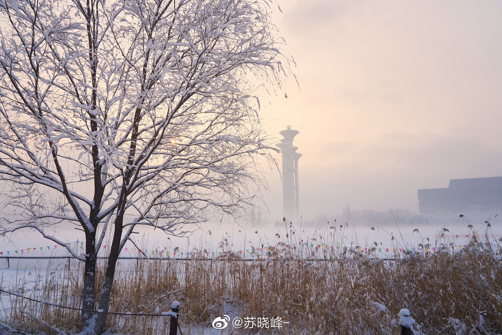 奥森雪后的温暖仙境 高清图集 新浪网 奥森雪后的温暖仙境 高清图集 新浪网