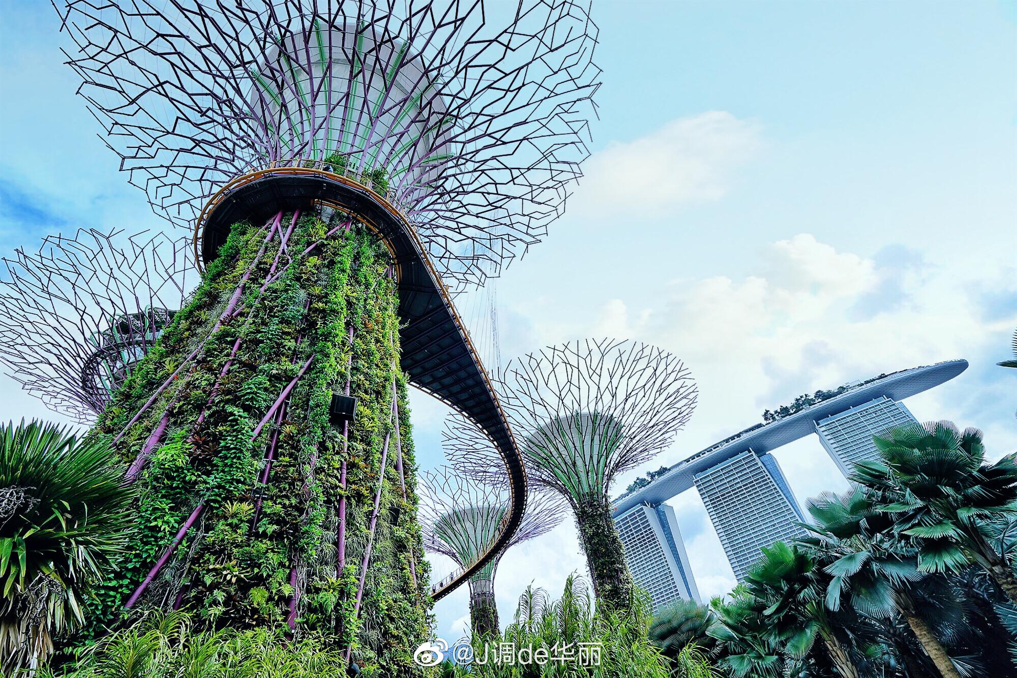 花园城市新加坡究竟有多靓？