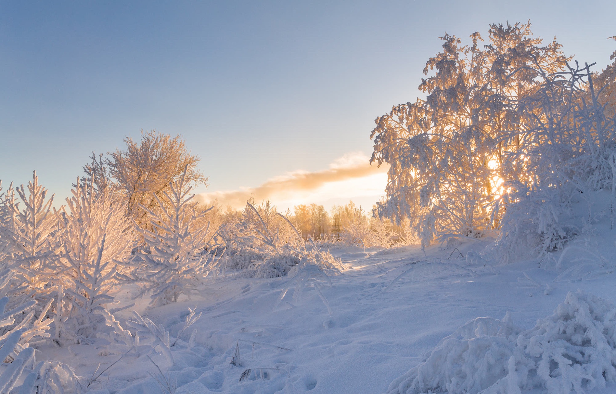 最爱东山晴后雪,软红光里涌银山._高清图集_新浪网
