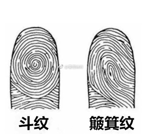 10个最值得学习的国外SEO博客网站