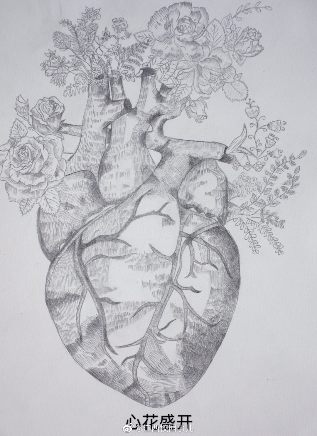 高校学生手绘解剖图走红 网友|器官|赣南医学院|医学生_新浪新闻