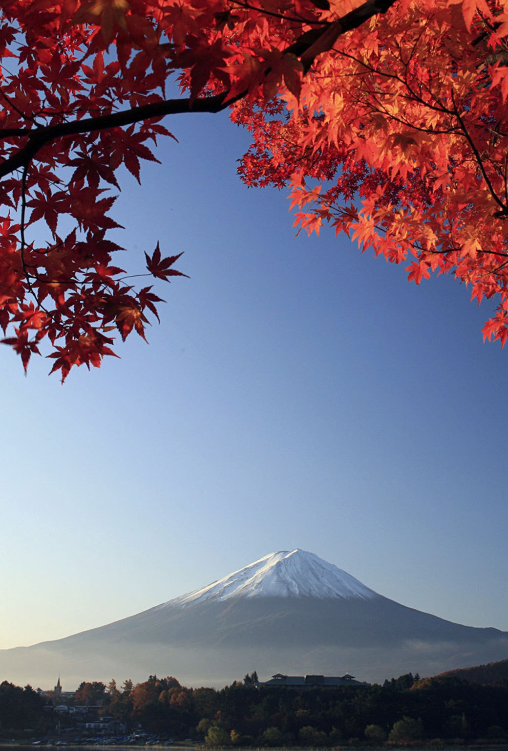 富士山 秋