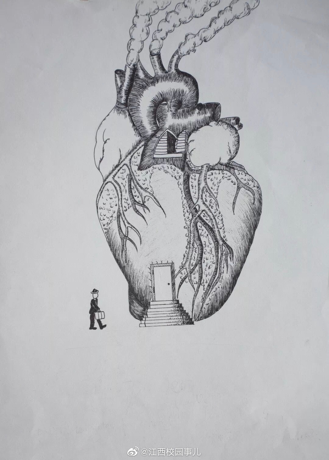 高校学生手绘解剖图走红网友