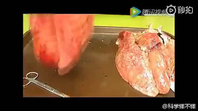 虽然看着很恶心,但是危害确实很大