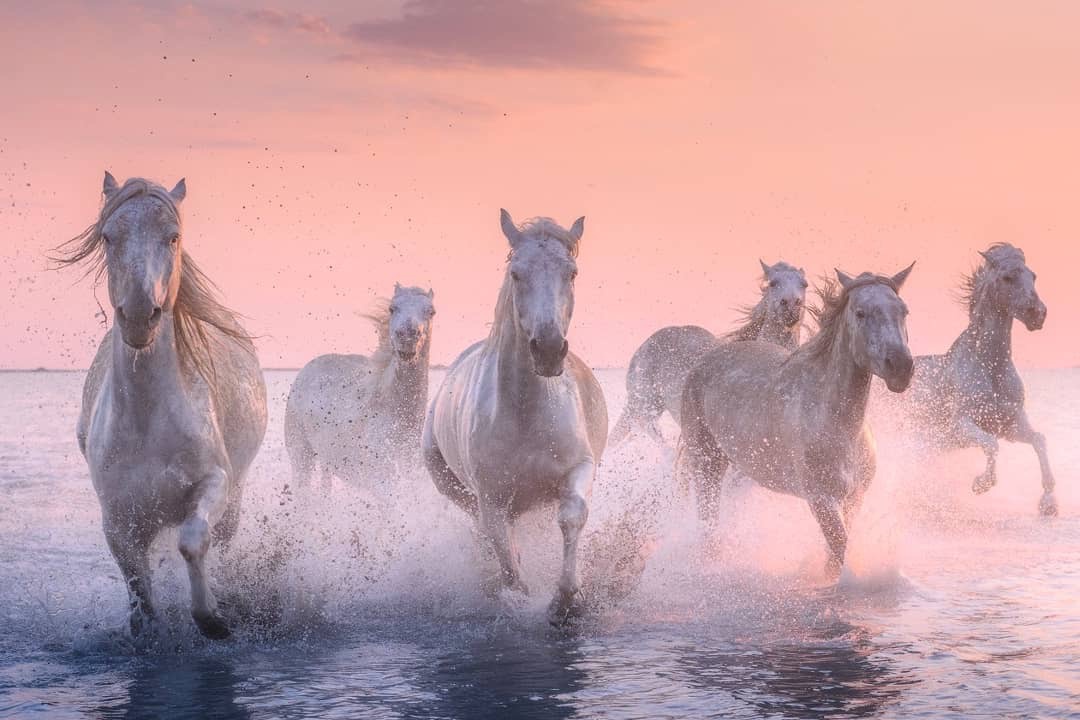 时光荏苒,白驹过隙.