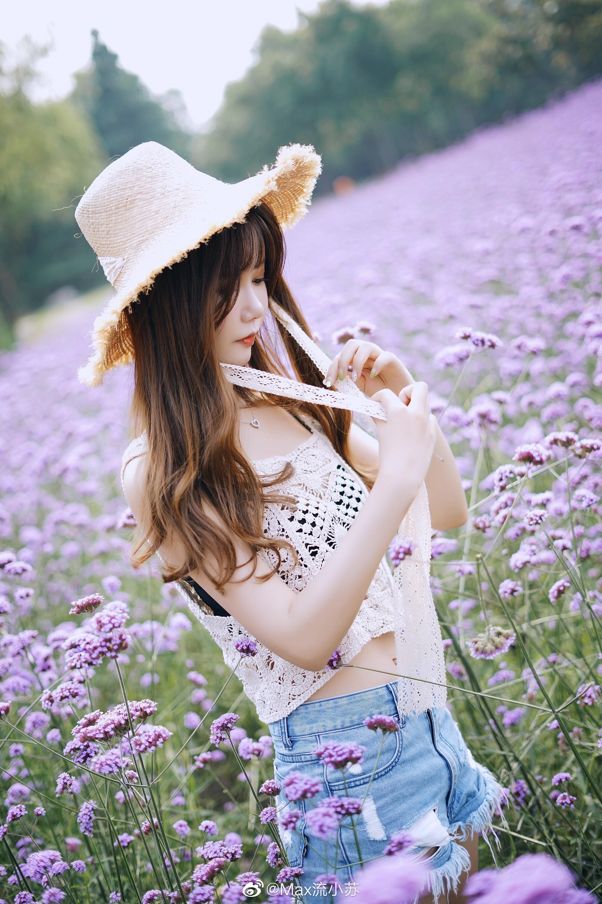 紫海花语