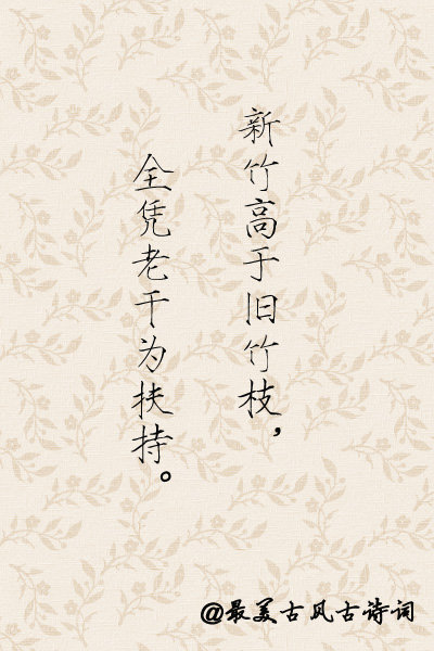 " 郑板桥说:"新竹高于旧竹枝,全凭老干为扶持.