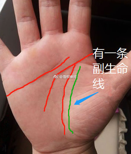 这几种手纹多遇贵人 财源广进容易富贵一生 希望粉丝都有