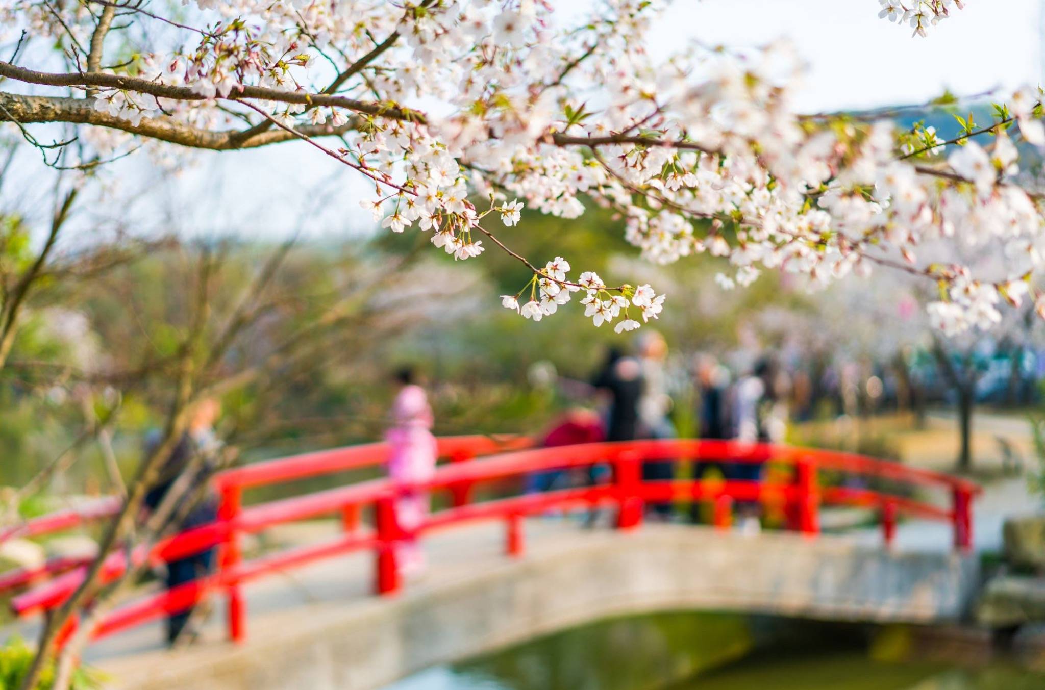 2020年3月27日 颐和园的春日美景|摄影|风光摄影|木子海山夆 - 原创作品 - 站酷 (ZCOOL)