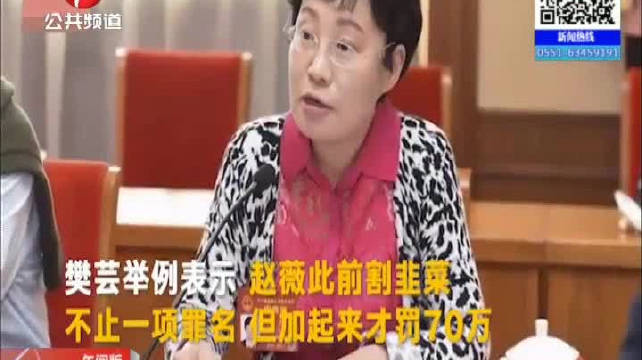 代表提醒易会满:管管割韭菜的赵薇们
