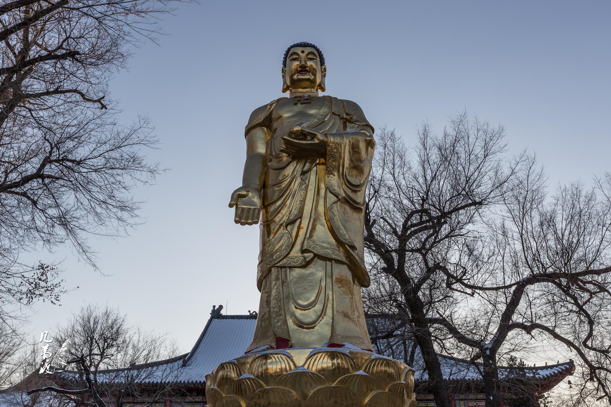 哈尔滨极乐寺20152东北四大佛教寺院之一另三处是长春般若寺沈