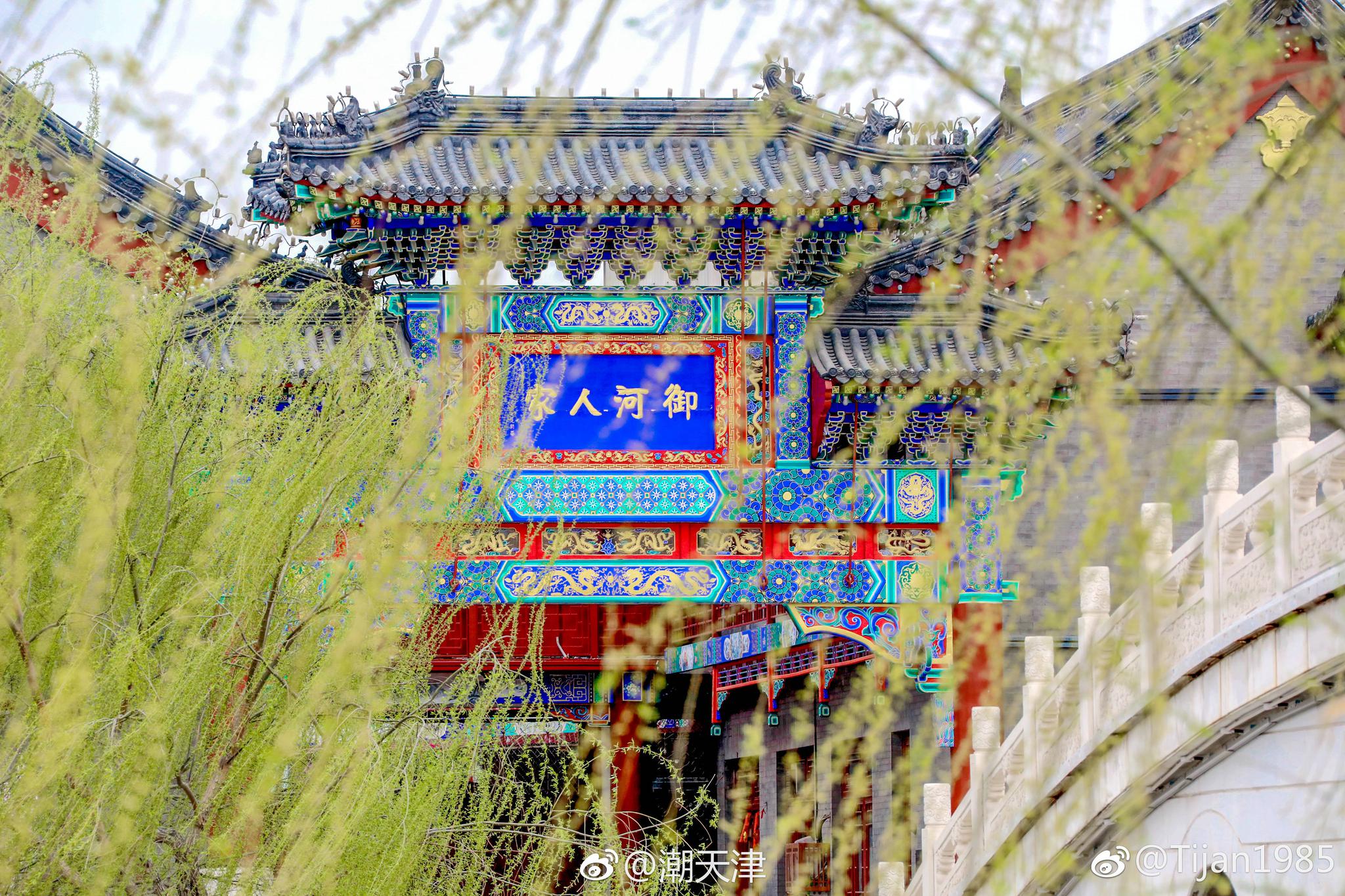 大美天津杨柳青