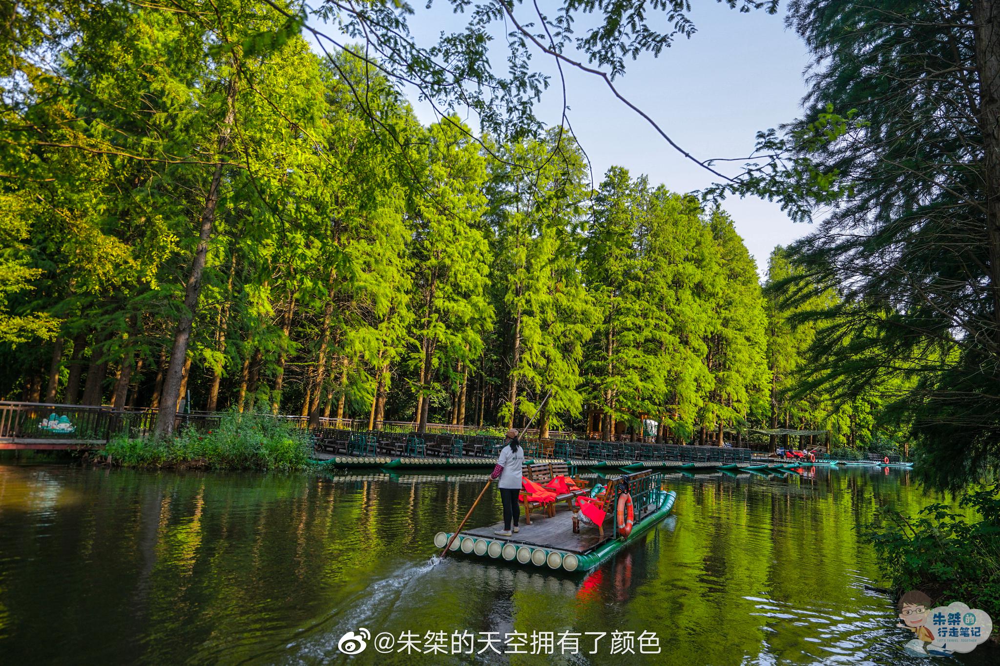 金湖水上森林公园位于淮安市金湖县涂沟镇唐港境内