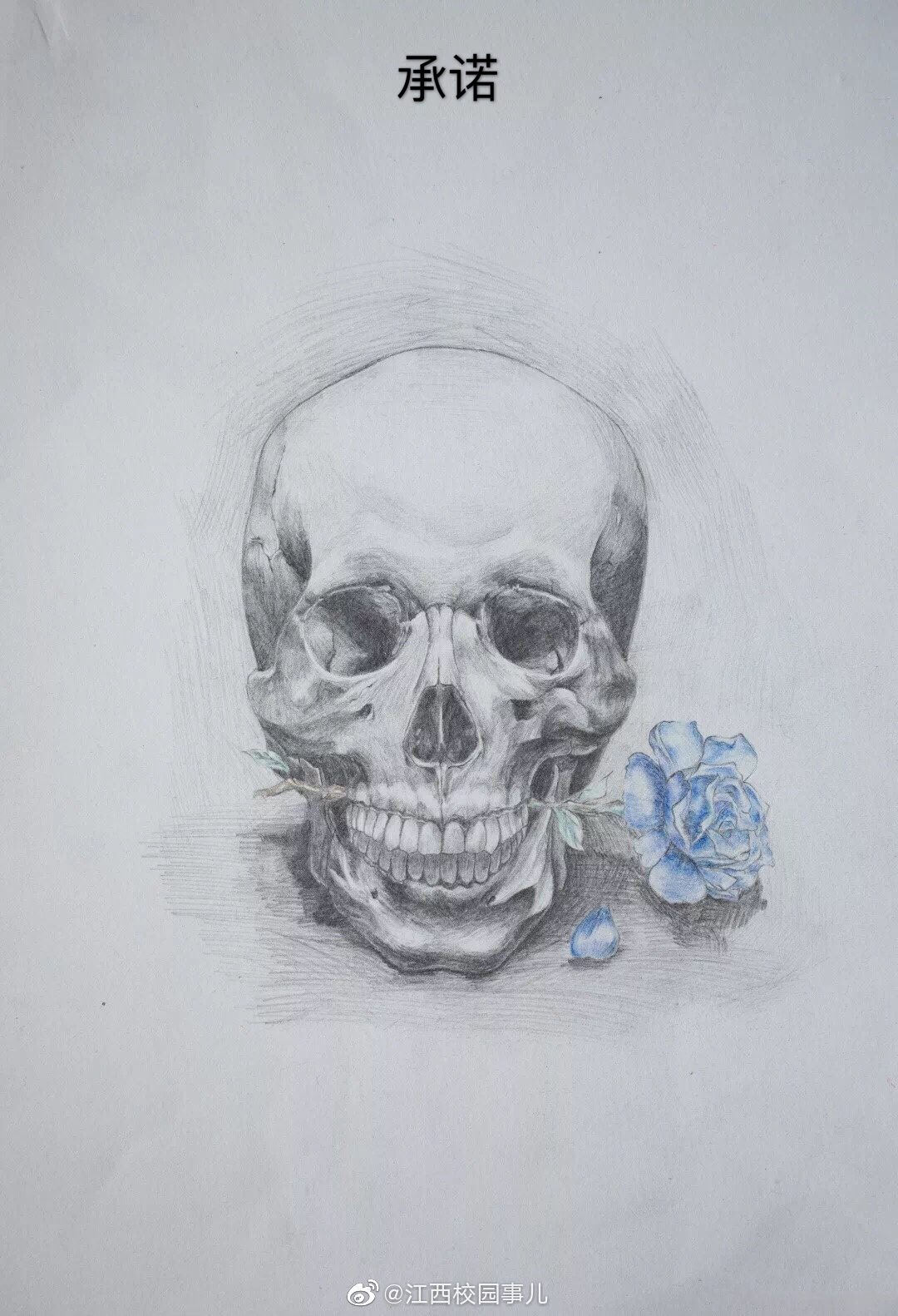 高校学生手绘解剖图走红网友