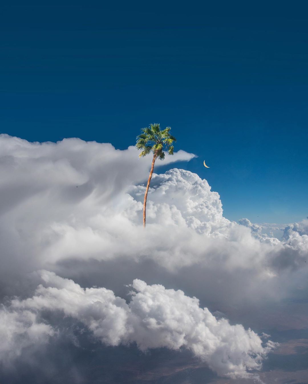 超现实街景kangheekim