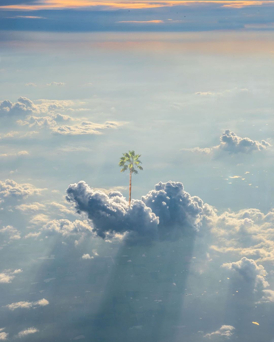 超现实街景kangheekim