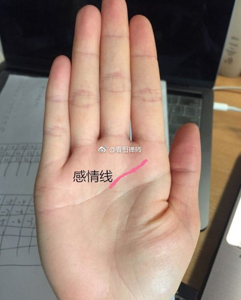 6种嫁得好的女人手相1,钱财纹多钱财纹在无名指和小指中间,一般人都有