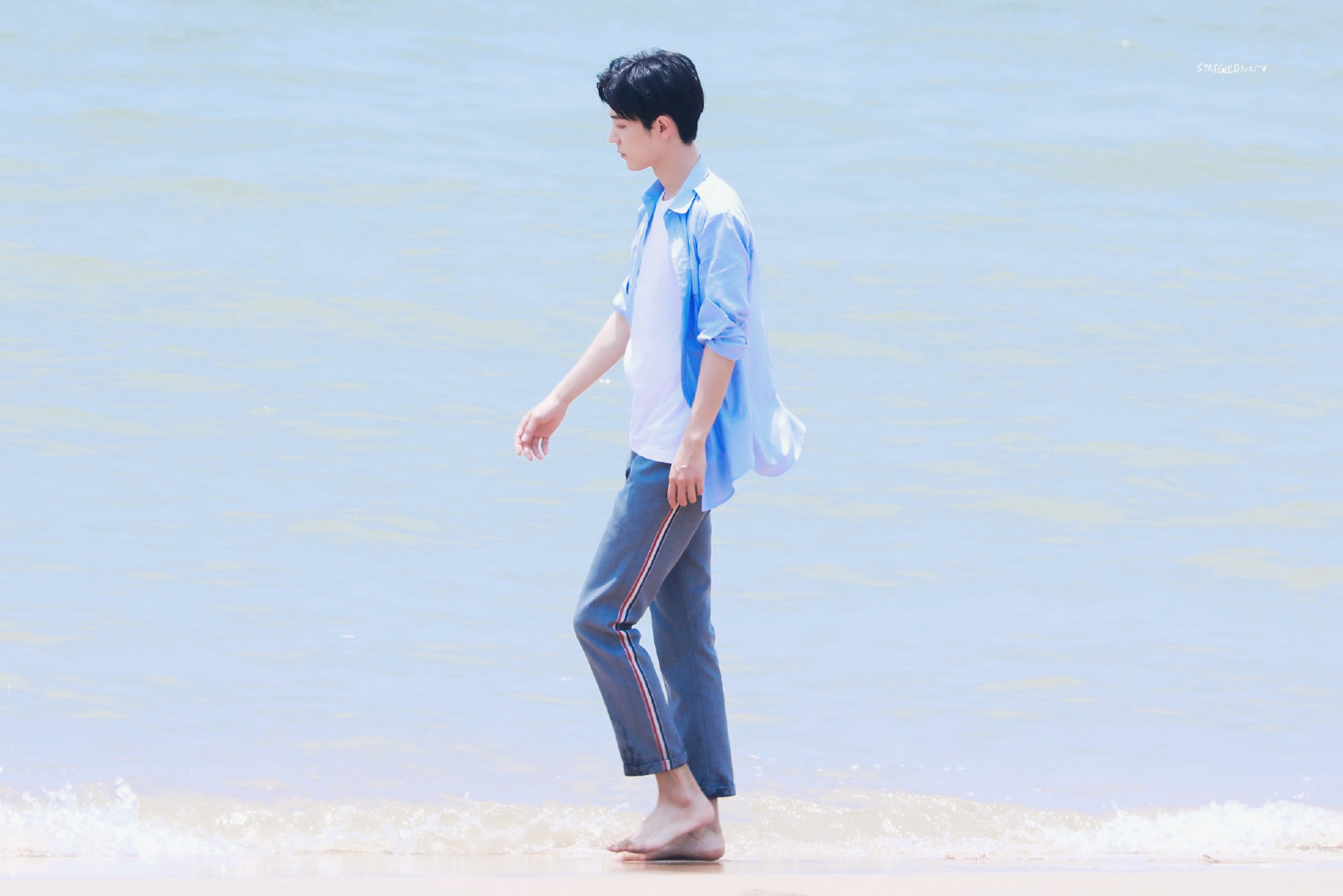 肖战海边写真
