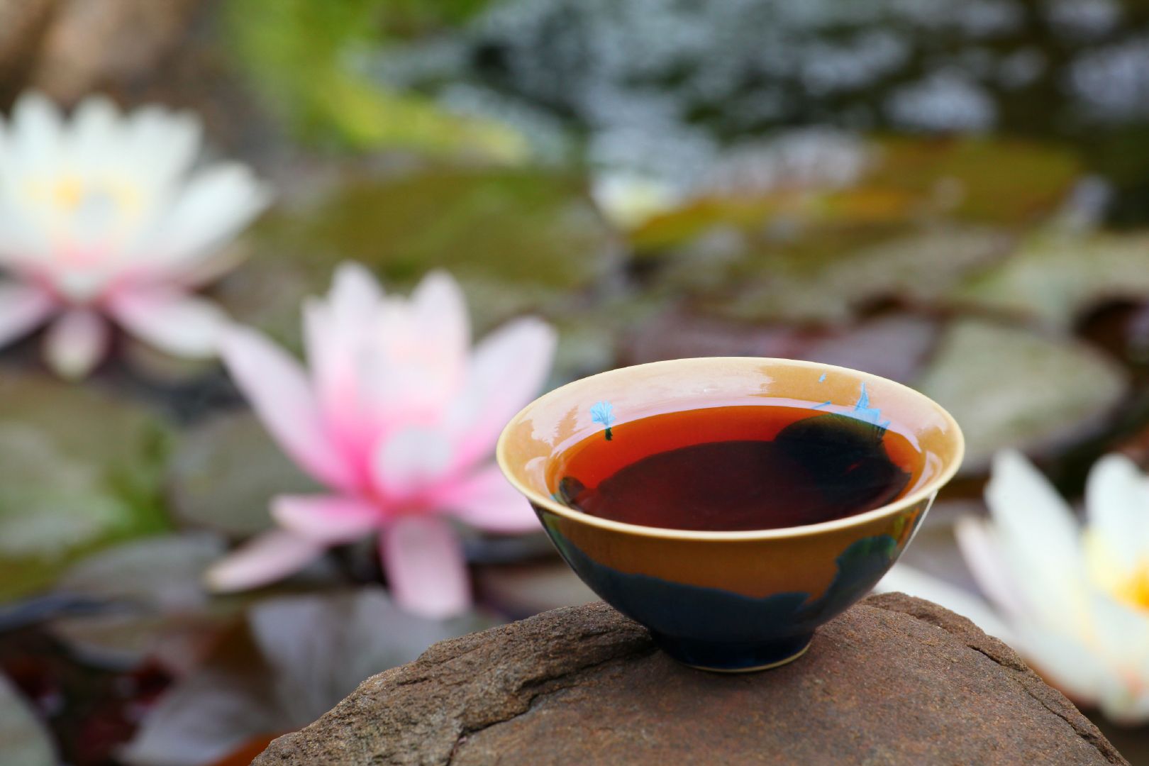 “冷后浑”的茶汤是怎么回事