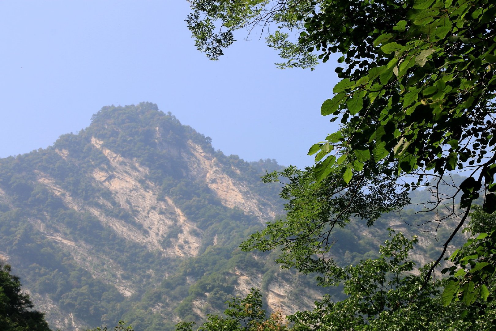 太平森林公园隶属于秦岭山脉,坐落于西安太平峪口,环境幽美