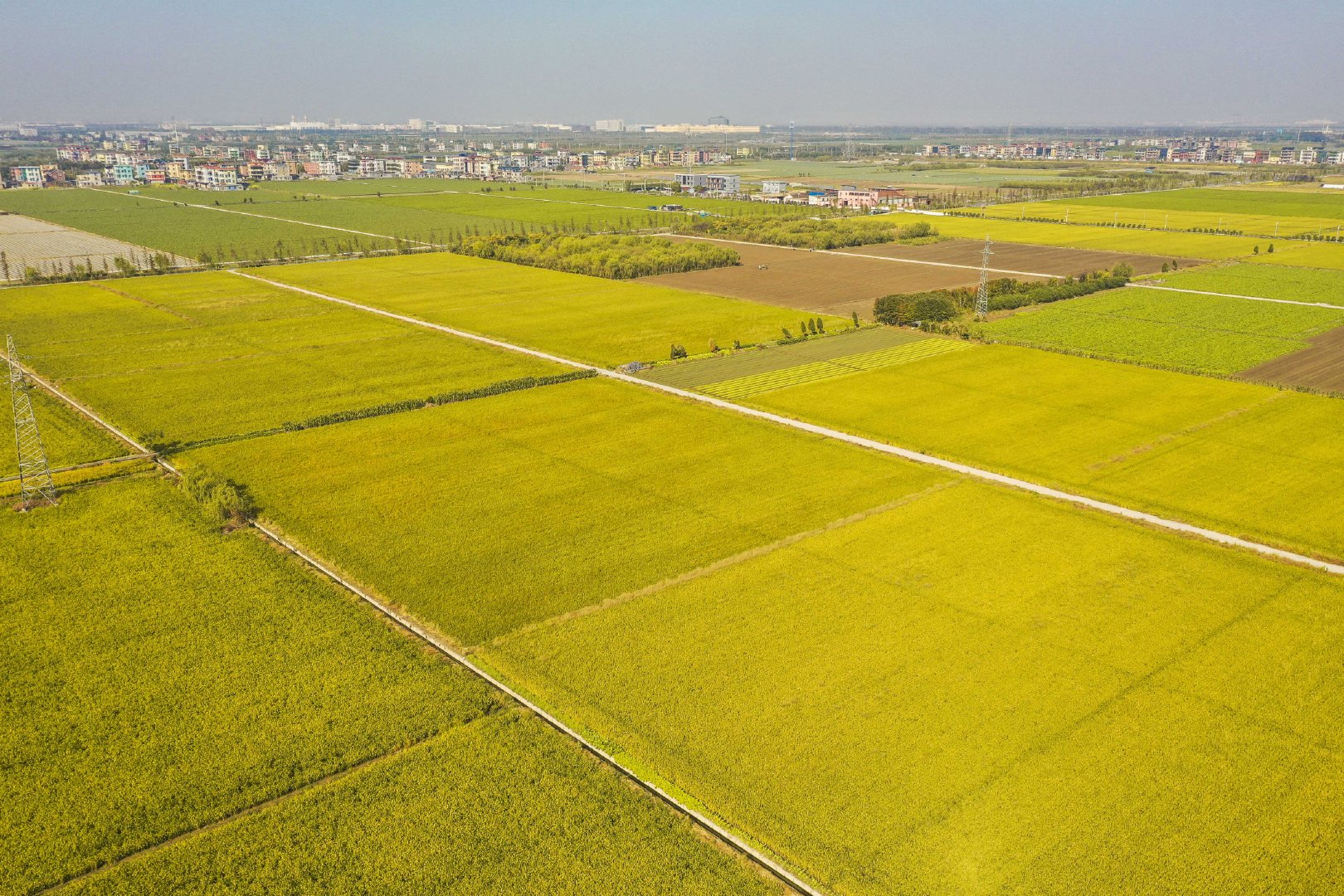 高清航拍!钱塘新区的秋田,怎么这么好看