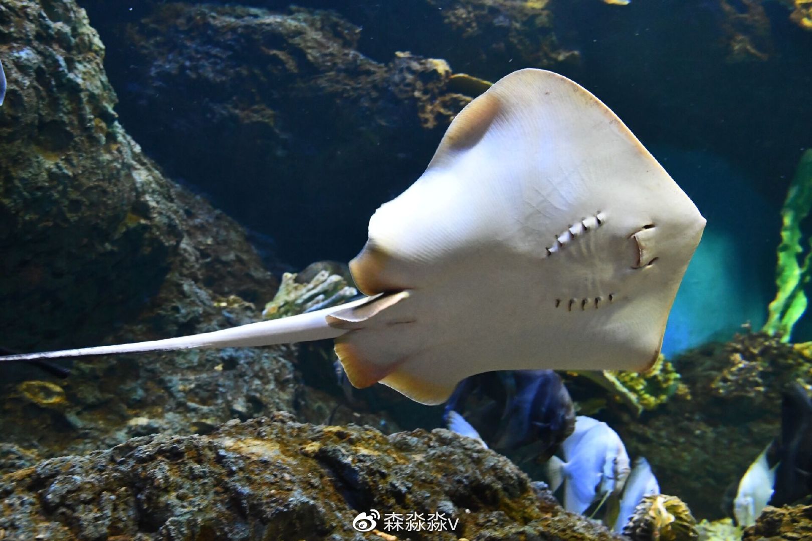 放飞海洋梦想感受丝路传奇研学旅行中的探秘活动