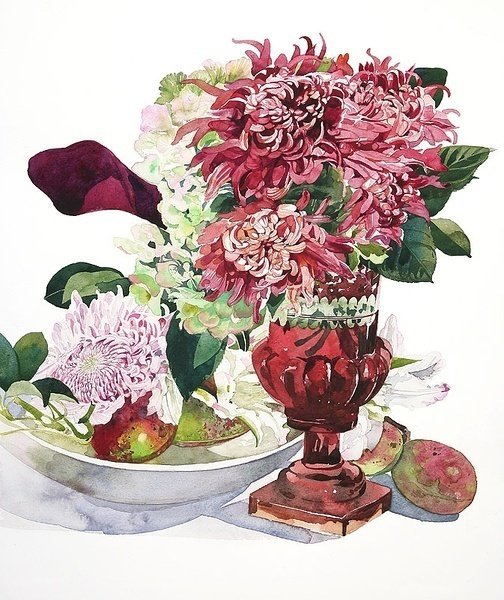 柘植彩子ayako Tsuge