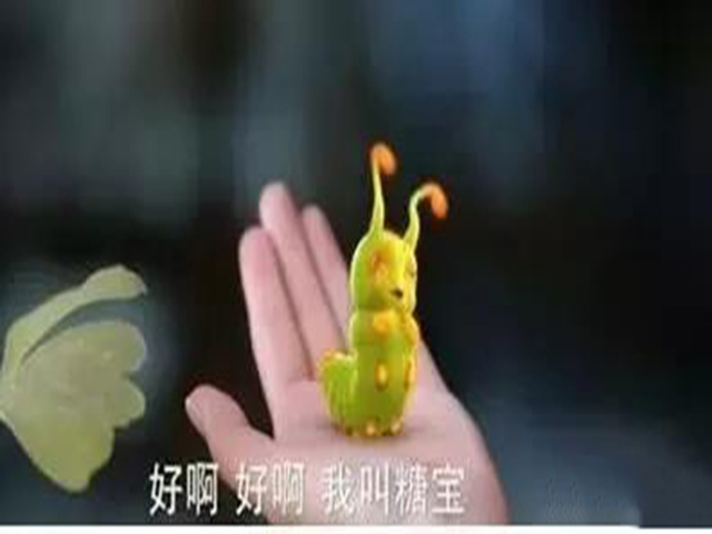 绿油油的“糖宝”豆虫惹人喜爱,但若是灰色的“糖宝”还接受?|豆虫|灰色|糖宝|豆天蛾|虫子_新浪新闻