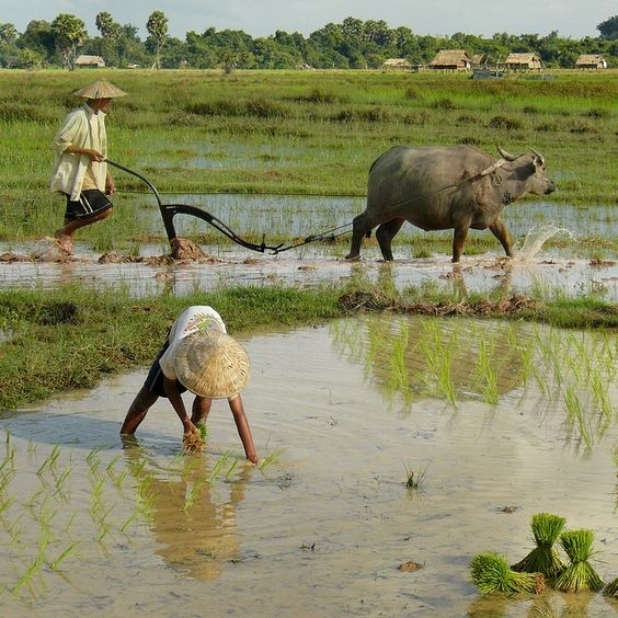 此时,阳气回升,大地解冻,春耕将始.