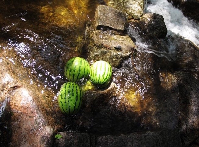 西瓜以绳络悬之井中,下午剖食,一刀下去,喀嚓有声,凉气四溢