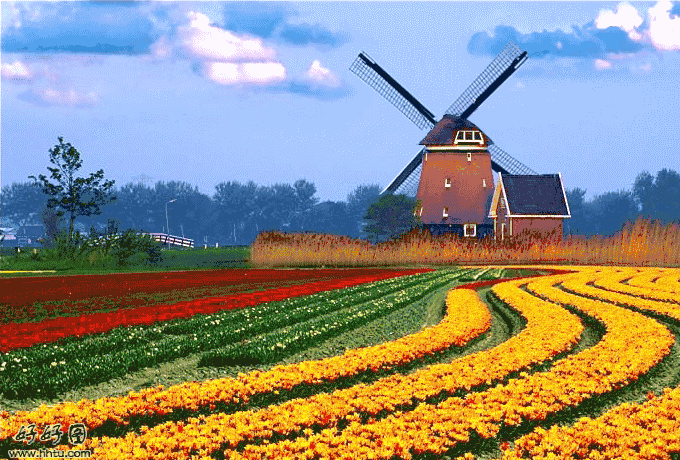 680_460gif 动态图 动图