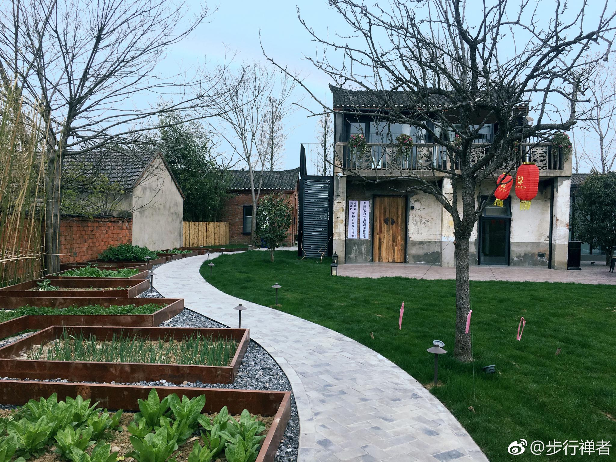 白茶清风无别事我在等风也等你合肥小岭南随手拍