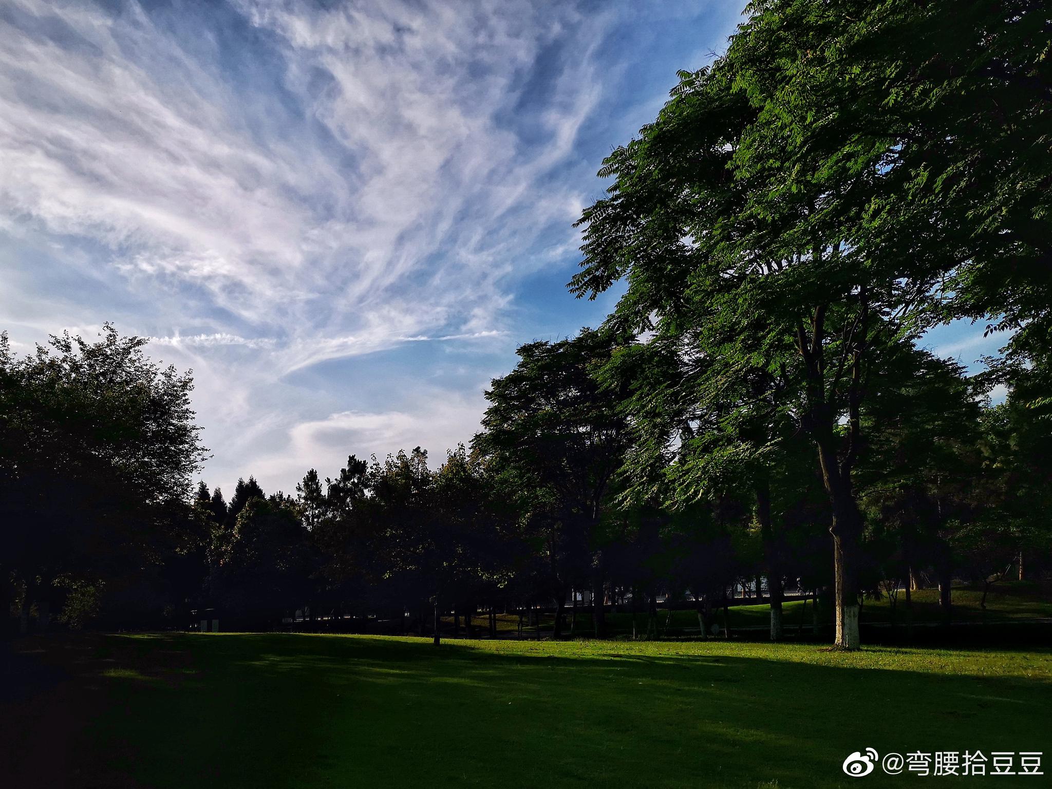 同城约微信的社交新生态,如何用微信实现高效同城社交