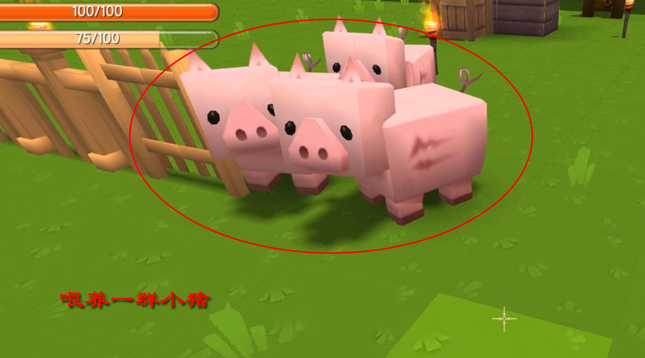 迷你世界74:我在庄园内造了一个猪圈,用野萝卜大餐养了一群小猪