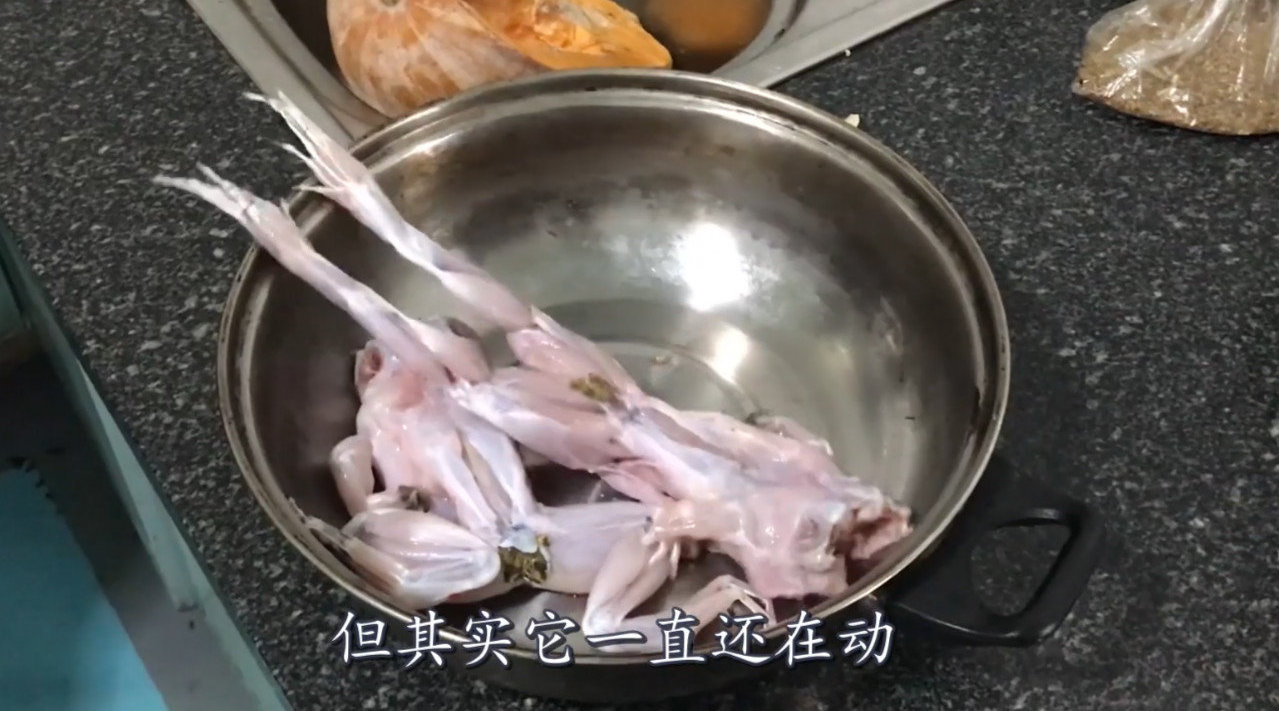 剥了皮的牛蛙还在动,听说里面有很多寄生虫,小伙一口下去:真嫩